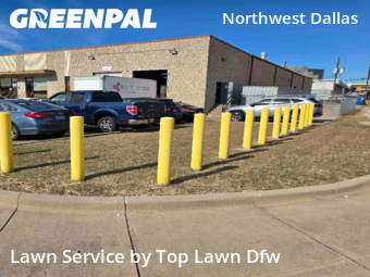 Yard Cuttingin Dallas,75229,Lawn Care Service by TOP LAWN DFW, work completed in Feb , 2026