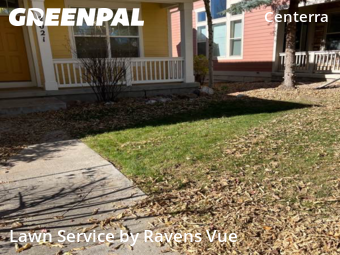 Grass Care in Loveland, 80538, Yard Services by Ravens Vue, work completed in Nov , 2025