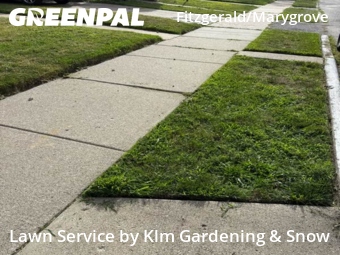 Lawn Care nearby Detroit, MI, 