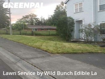 Lawn Cut nearby Bellevue, WA, 
