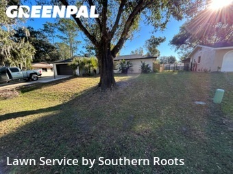 Grass Cutting nearby Palm Coast, FL, 