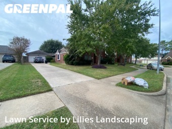 Grass Cut nearby Houston, TX, 