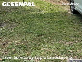 Lawn Care nearby Columbia, SC, 