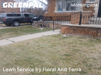 Landscaping Installation Detroit,48224,Landscaping by Floral And Terra , work completed in Dec , 2025