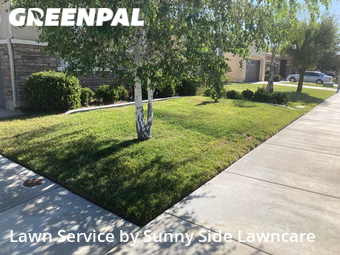 Grass Cut nearby Menifee, CA, 