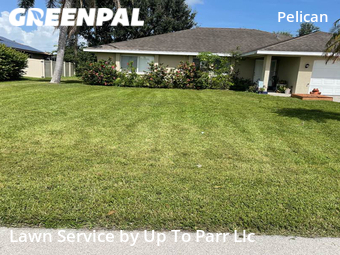 Grass Cutting nearby Cape Coral, FL, 