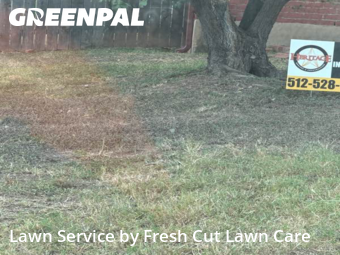 Grass Cutting nearby Cedar Park, TX, 