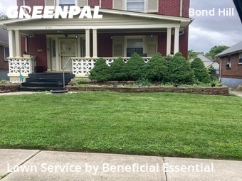 Lawn Cut nearby Cincinnati, OH, 