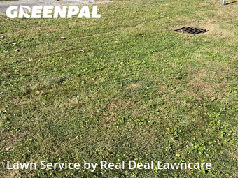 Lawn Mow nearby Columbus, OH, 