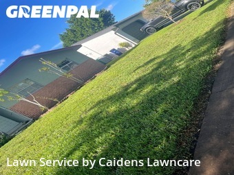 Grass Cut nearby Cooper City, FL, 