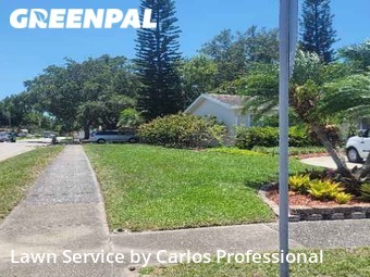 Grass Cut nearby Largo, FL, 