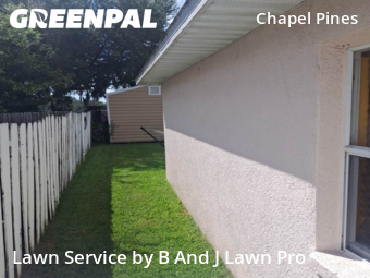 Lawn Cutting nearby Wesley Chapel, FL, 
