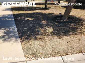 Lawn Cut nearby Helotes, TX, 