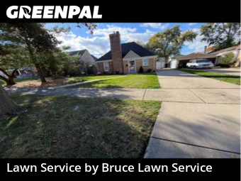 Landscaping Maintenance in Elmwood Park, 60707, Yard Upkeep by Bruce Lawn Service, work completed in Nov , 2025