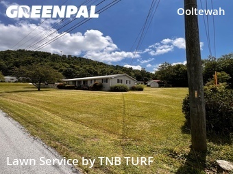 Grass Cutting nearby Ooltewah, TN, 