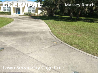 Lawn Work in Edgewater, 32132, Yard Mowing by Cage Cutz, work completed in Nov , 2025