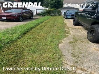 Lawn Maintenance nearby Norfolk, VA, 