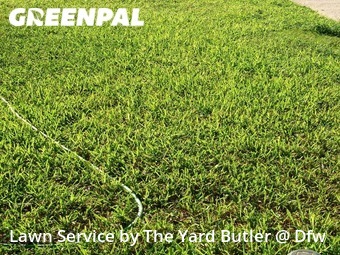 Lawn Cutting nearby Bedford, TX, 