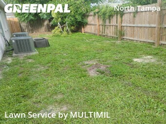 Landscaping In Tampa,33612,Landscape Design by MULTIMIL , work completed in Jul , 2026
