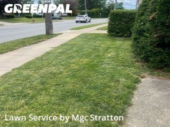 Lawn Mowing nearby Lakewood, OH, 