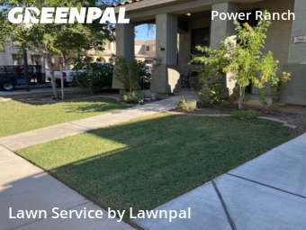 Landscaping Cleanup In Gilbert,85297,Landscaping by Lawnpal, work completed in Nov , 2025