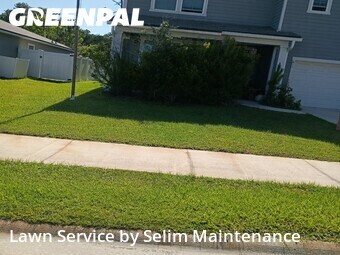 Grass Cut nearby St. Augustine, FL, 