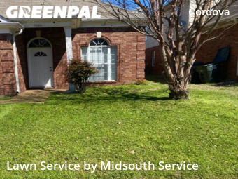 Grass Cut nearby Memphis, MS, 