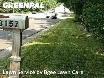 Lawn Cutting nearby Rock Hill, NC, 
