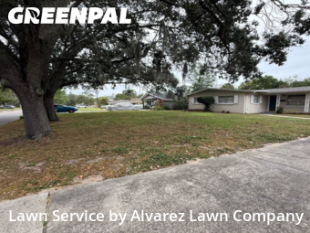 Lawn Cut nearby Winter Park, FL, 