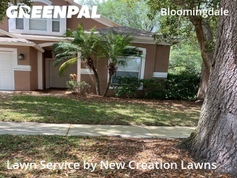 Lawn Cut nearby Valrico, FL, 