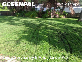 Lawn Maintenance nearby Tampa, FL, 