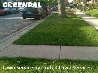 Lawn Mowing nearby Chicago, IL, 