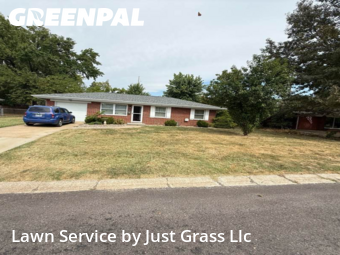 Yard Mowingin Belleville,62223,Yard Mowing by Just Grass Llc, work completed in Nov , 2025