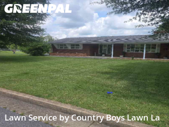 Yard Cutting nearby Johnson City, TN, 