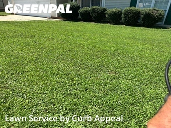 Grass Cut nearby Concord, NC, 