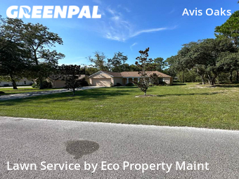 Grass Cutting nearby Spring Hill, FL, 