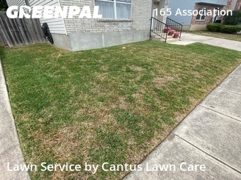 Yard Cutting nearby San Antonio, TX, 