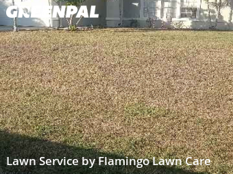 Property Maintenance in Fort Myers, 33967, Garden Trimming by Flamingo Lawn Care, work completed in Dec , 2025