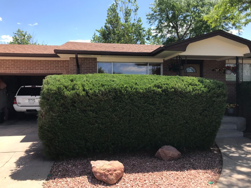 Aeration Nation Lawn Care Services in Westminster, CO