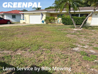 Yard Cutting nearby Seminole, FL, 