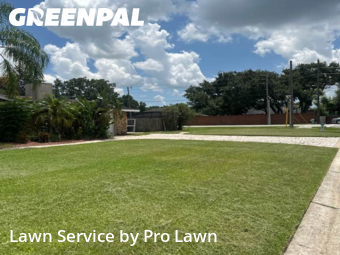 Grass Cut nearby Belle Isle, FL, 