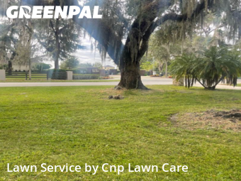 Lawn Cuttingin Kissimmee,34746,Lawn Mowing Service by Cnp Lawn Care, work completed in Dec , 2025