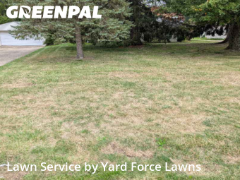 Yard Cutting in North Royalton, 44133, Garden Trimming by Yard Force Lawns, work completed in Nov , 2025