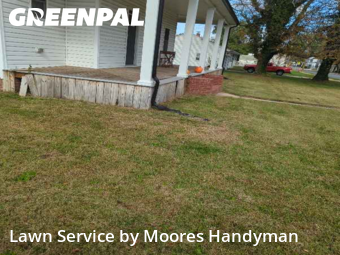 Weed Trimming in Magnolia, 19962, Mowing Services by Moores Handyman, work completed in Nov , 2025