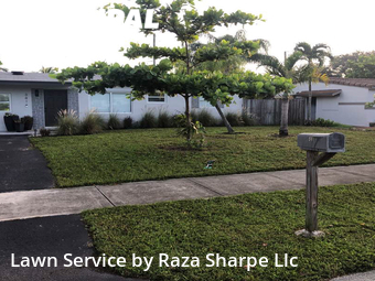 Lawn Maintenance nearby Fort Lauderdale, FL, 