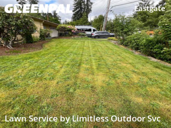 Lawn Care nearby Bellevue, WA, 