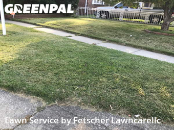 Grass Cutting nearby Evansville, IN, 