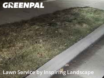 Yard Upkeep in Lone Tree, 80124, Yard Management by Inspiring Landscape, work completed in Nov , 2025