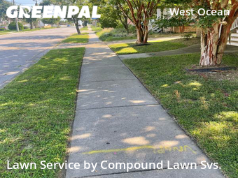 Lawn Maintenance nearby Norfolk, VA, 