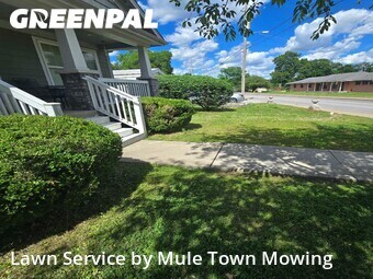 Grass Cutin Franklin,37064,Yard Mowing by Mule Town Mowing , work completed in Jun , 2026